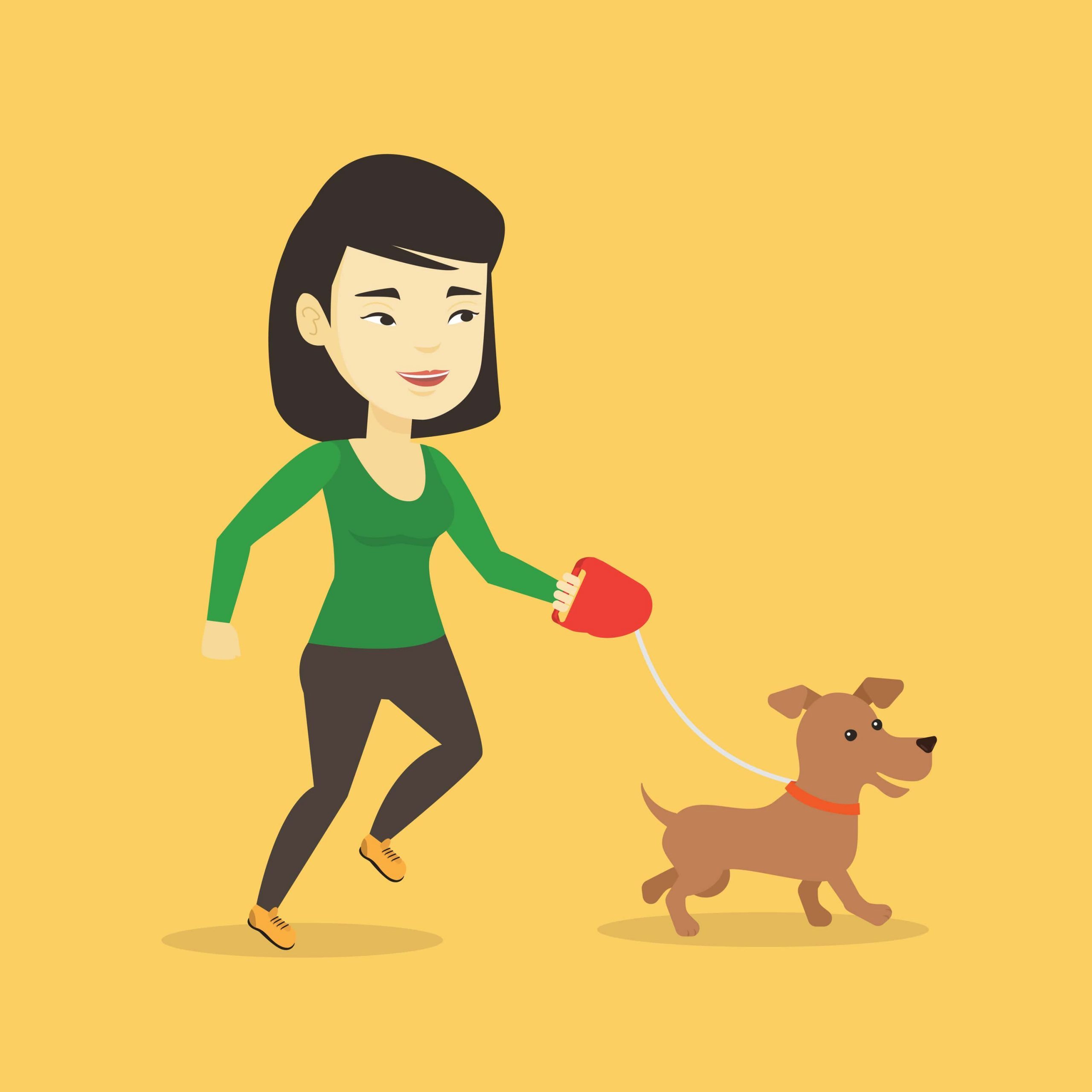 Dog Walker Insurance